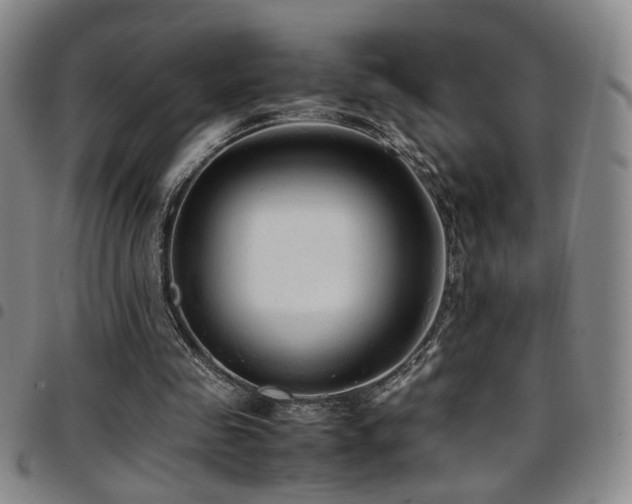 X0000097900341200803141359