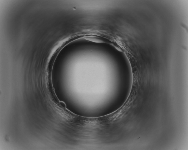 X0000097900342200803141359