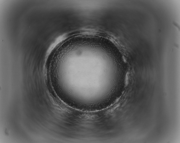 X0000097900343200803141359