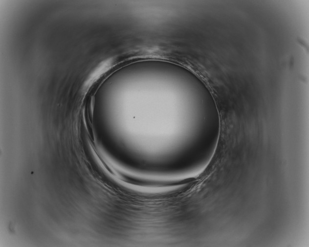 X0000097900344200803141359