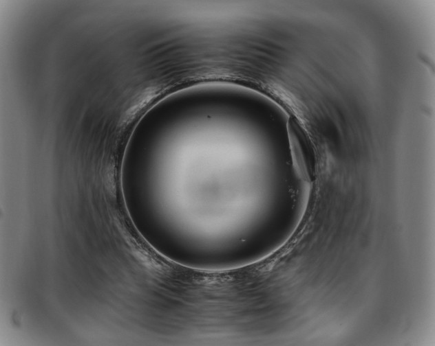 X0000097900345200803141359