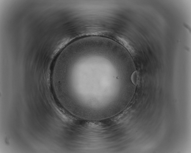 X0000097900346200803141359