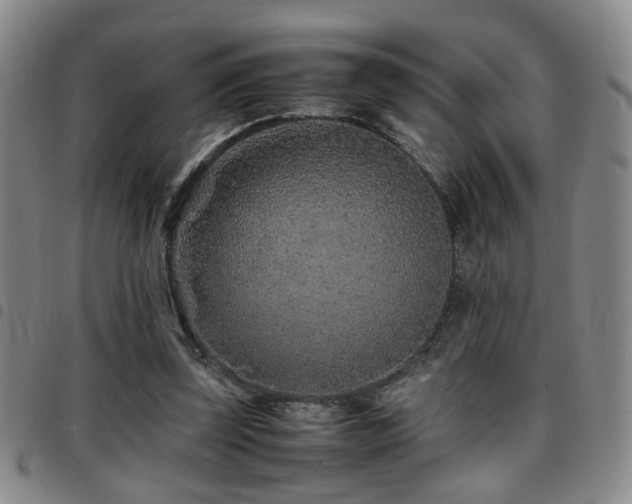 X0000097900347200803141359