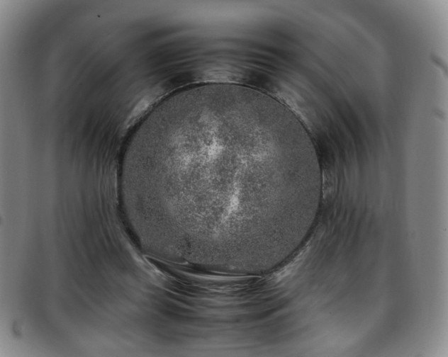 X0000097900349200803141359