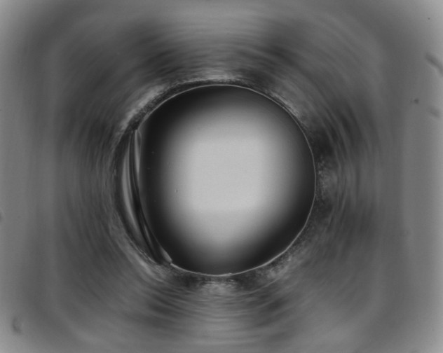 X0000097900350200803141359