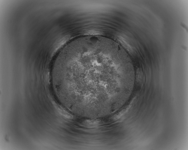 X0000097900351200803141359