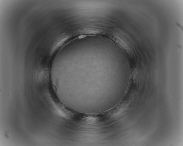 X0000097900352200803141359