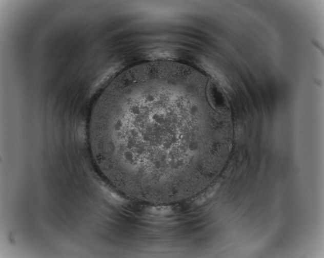 X0000097900353200803141359