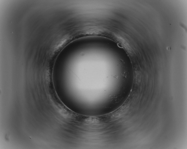 X0000097900354200803141359