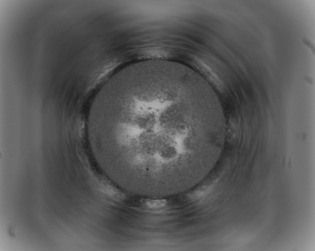 X0000097900355200803141359