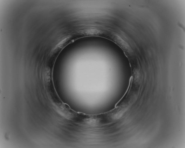 X0000097900356200803141359