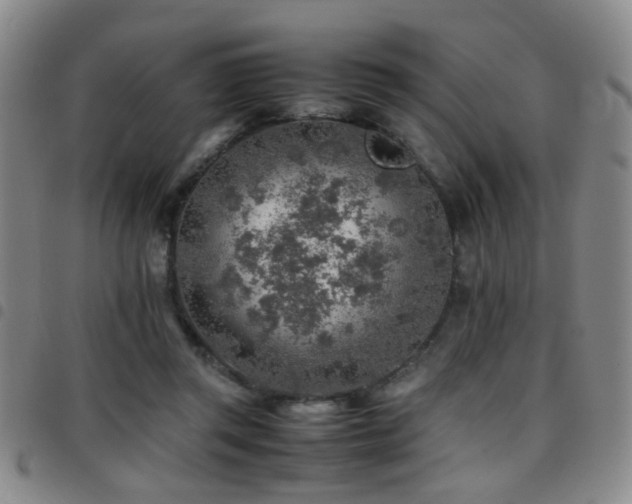 X0000097900357200803141359