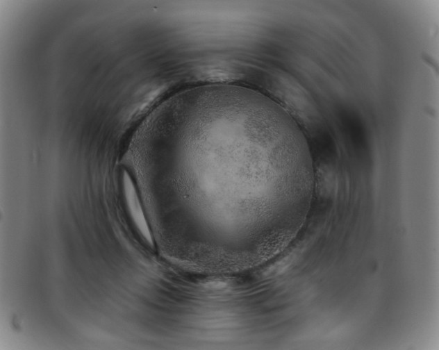 X0000097900358200803141359