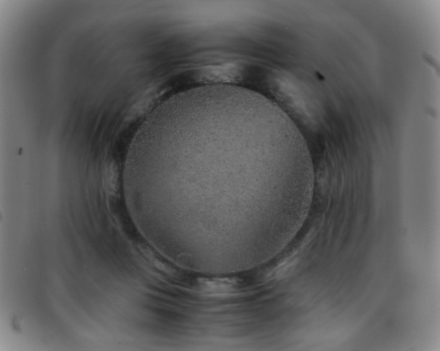 X0000097900359200803141359