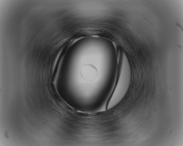 X0000097900360200803141359