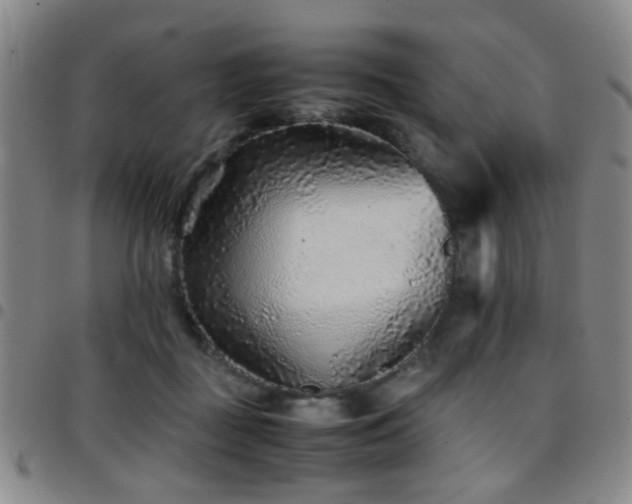 X0000097900363200803141359