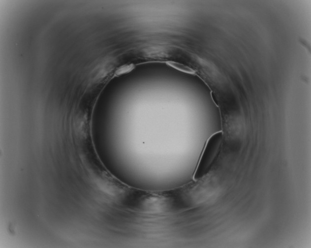 X0000097900364200803141359