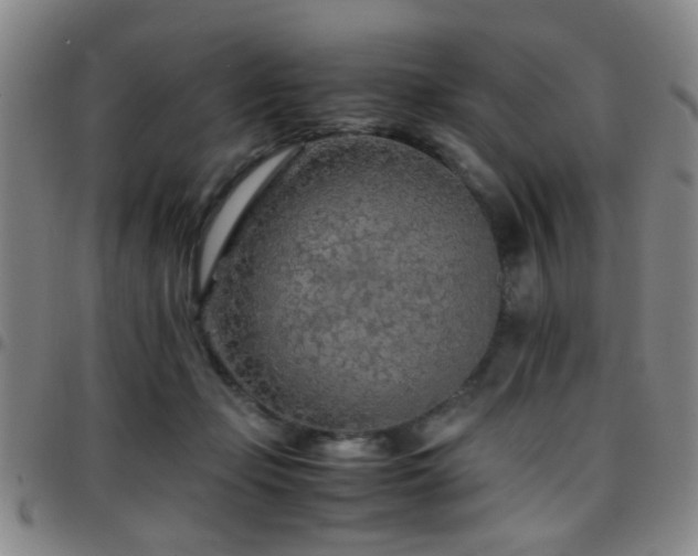 X0000097900365200803141359