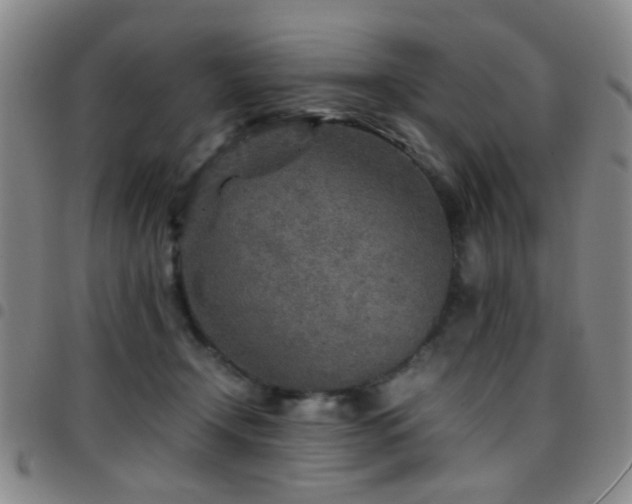 X0000097900366200803141359