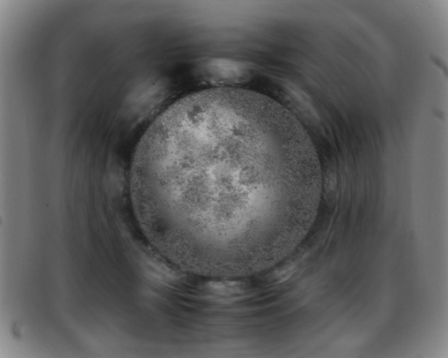 X0000097900367200803141359