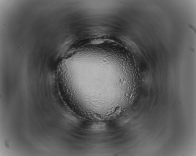 X0000097900369200803141359