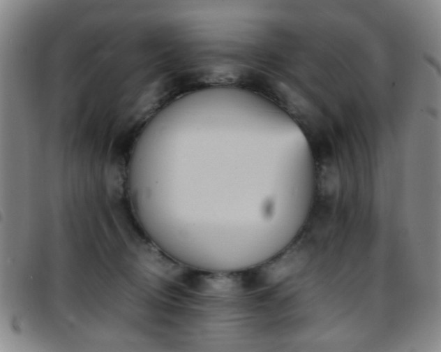 X0000097900370200803141359