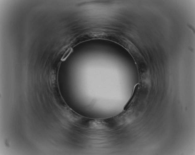 X0000097900372200803141359