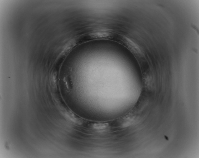 X0000097900373200803141359