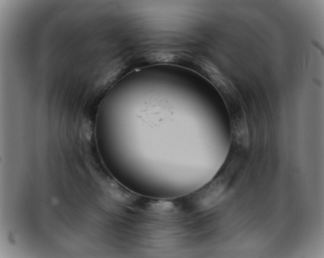 X0000097900374200803141400