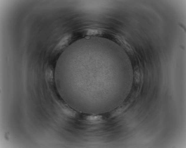 X0000097900375200803141400