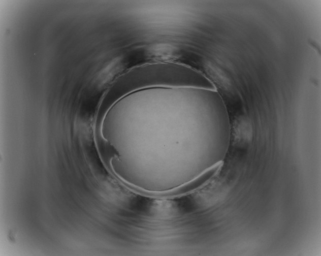 X0000097900376200803141400