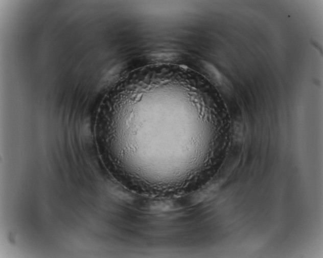 X0000097900377200803141400