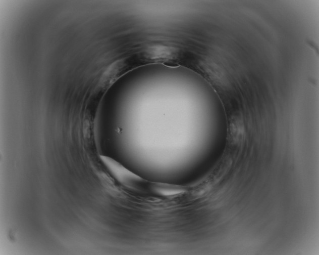 X0000097900379200803141400