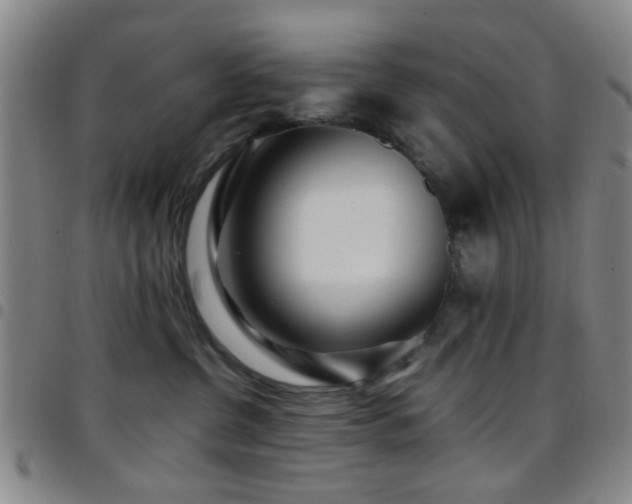 X0000097900380200803141400