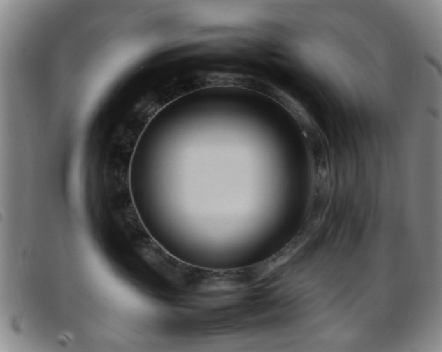 X0000097900381200803141400