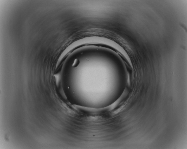 X0000097900382200803141400