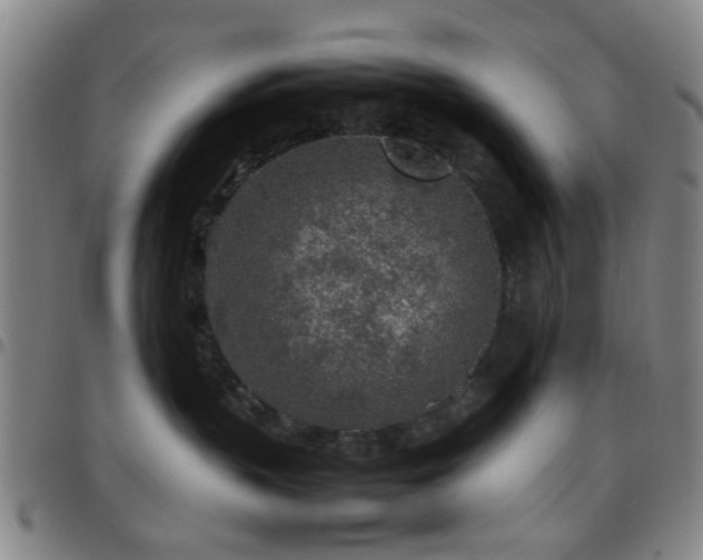 X0000097900383200803141400