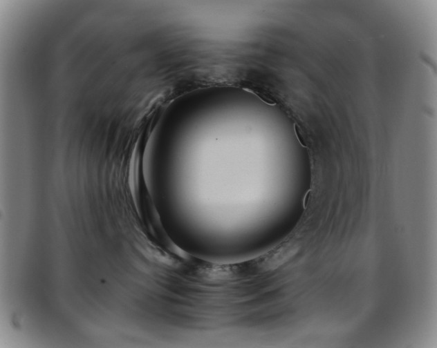 X0000097900384200803141400