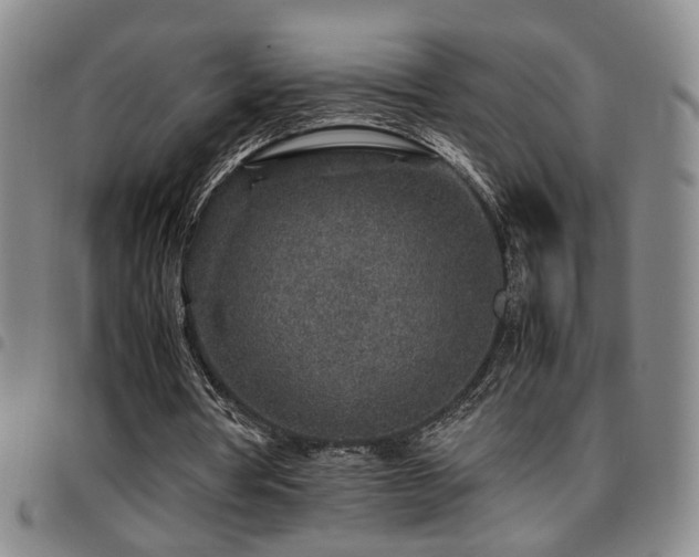 X0000097900386200803141359