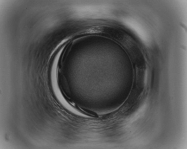 X0000097900387200803141359