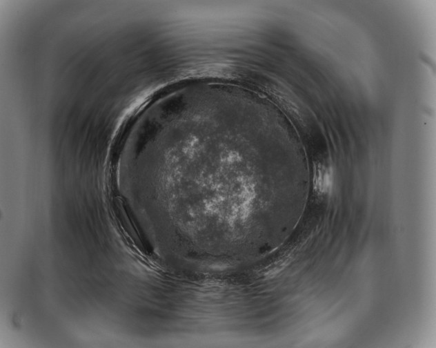 X0000097900388200803141359