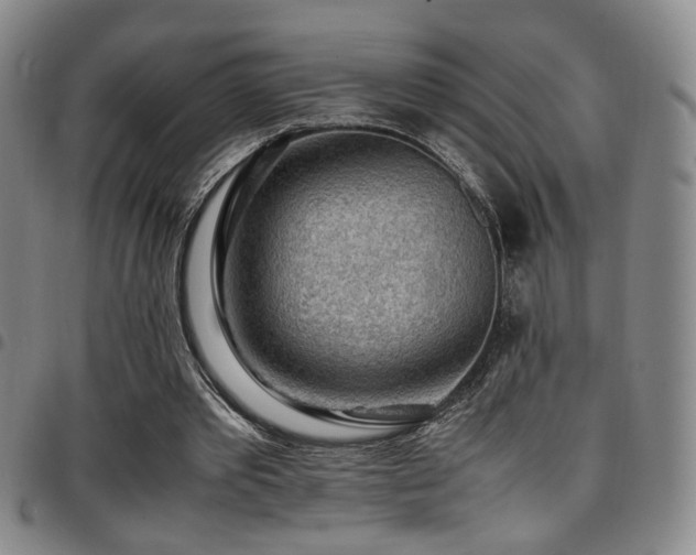 X0000097900389200803141359