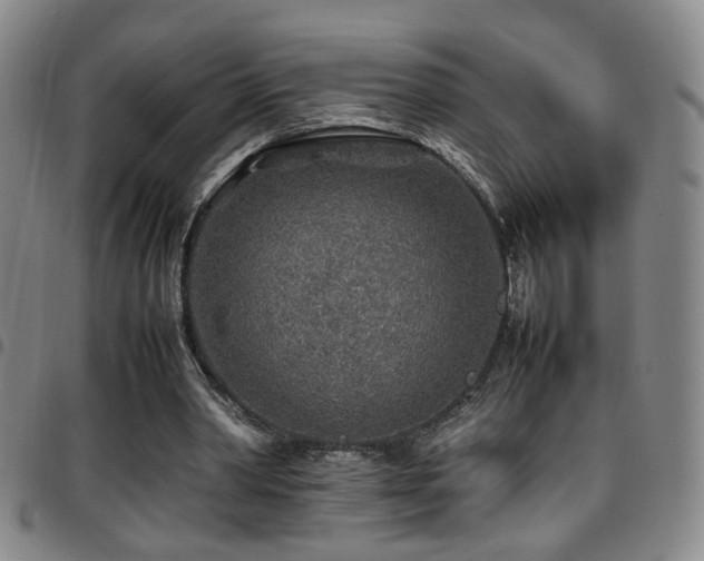 X0000097900390200803141359