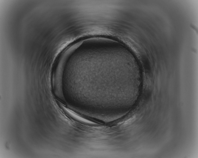 X0000097900391200803141359