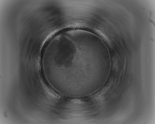 X0000097900392200803141359