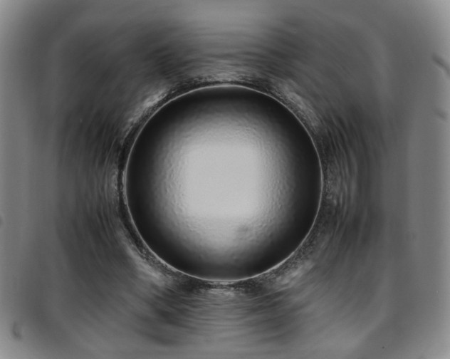 X0000097900394200803141359