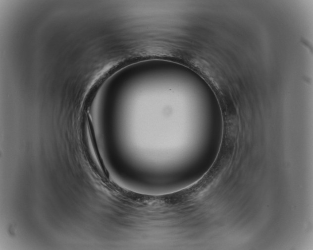 X0000097900395200803141359