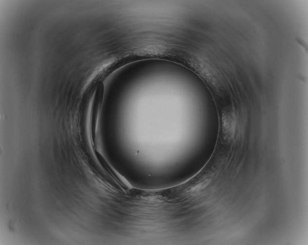 X0000097900396200803141359