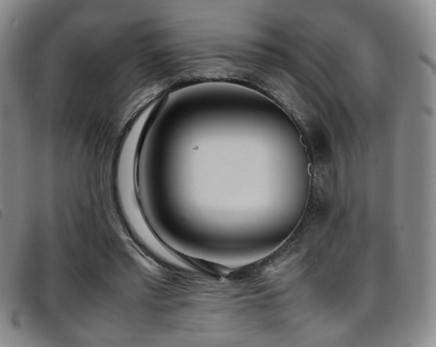 X0000097900397200803141359