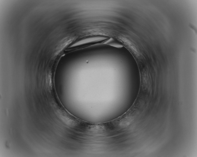 X0000097900398200803141359